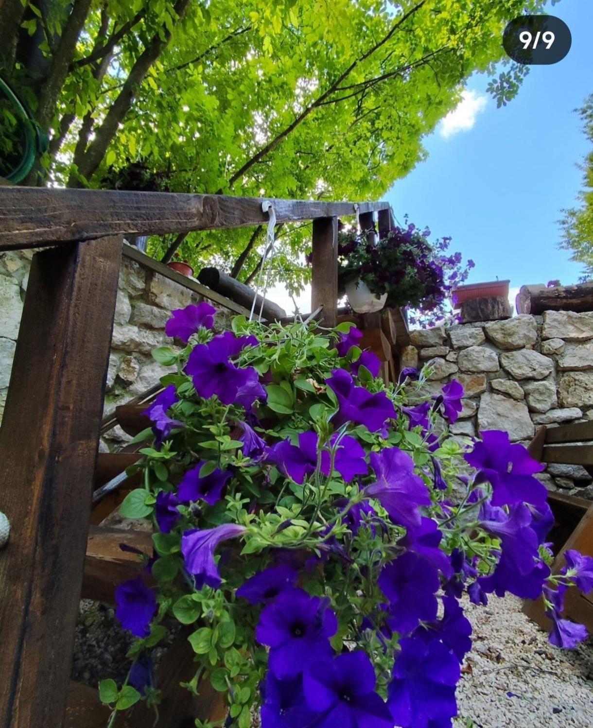Brvnara Fairy Tale Villa Cetinje Exterior photo
